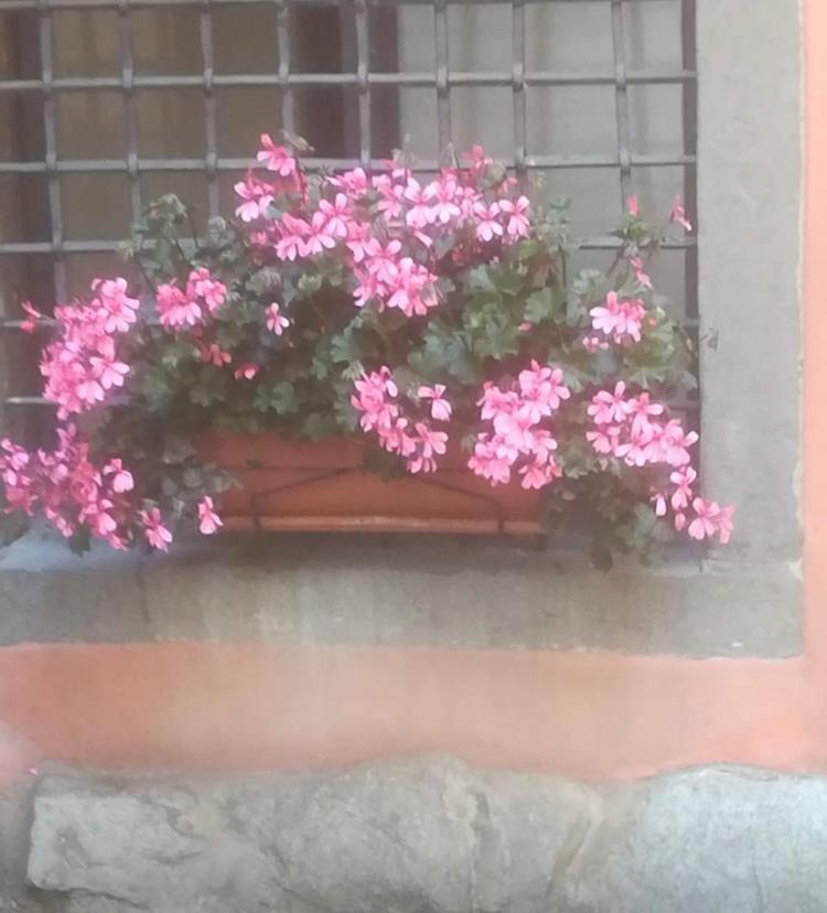 Casa Mirella Apartment Lovere Luaran gambar